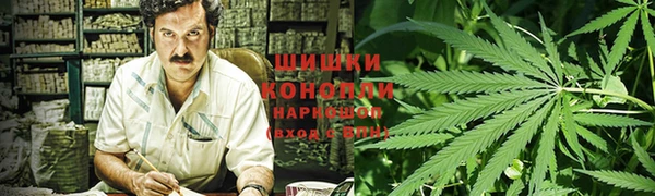 ГАЛЛЮЦИНОГЕННЫЕ ГРИБЫ Армянск