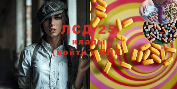 ГАЛЛЮЦИНОГЕННЫЕ ГРИБЫ Армянск
