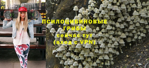 сатива Кинешма