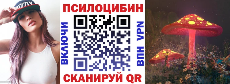 hydra ССЫЛКА  Багратионовск  Псилоцибиновые грибы MAGIC MUSHROOMS 